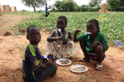 img-progetto-di-prevenzione-della-malnutrizione-in-burkina-faso